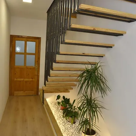 Milosavljevic Apartments Tivat Exterior photo